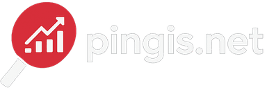 pingis.net